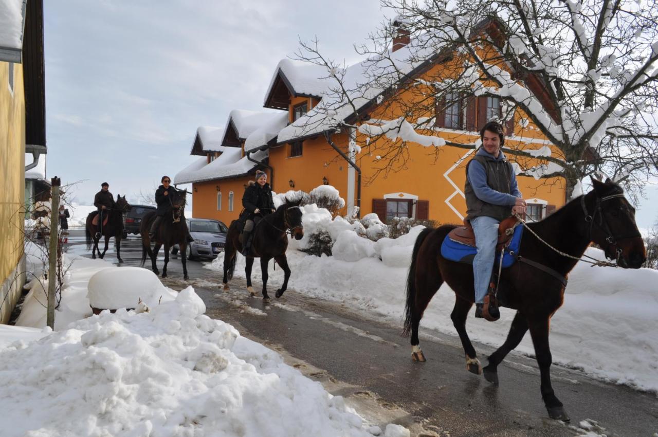 Apartments - Turisticna Kmetija Vrbnjak Ljutomer Bagian luar foto