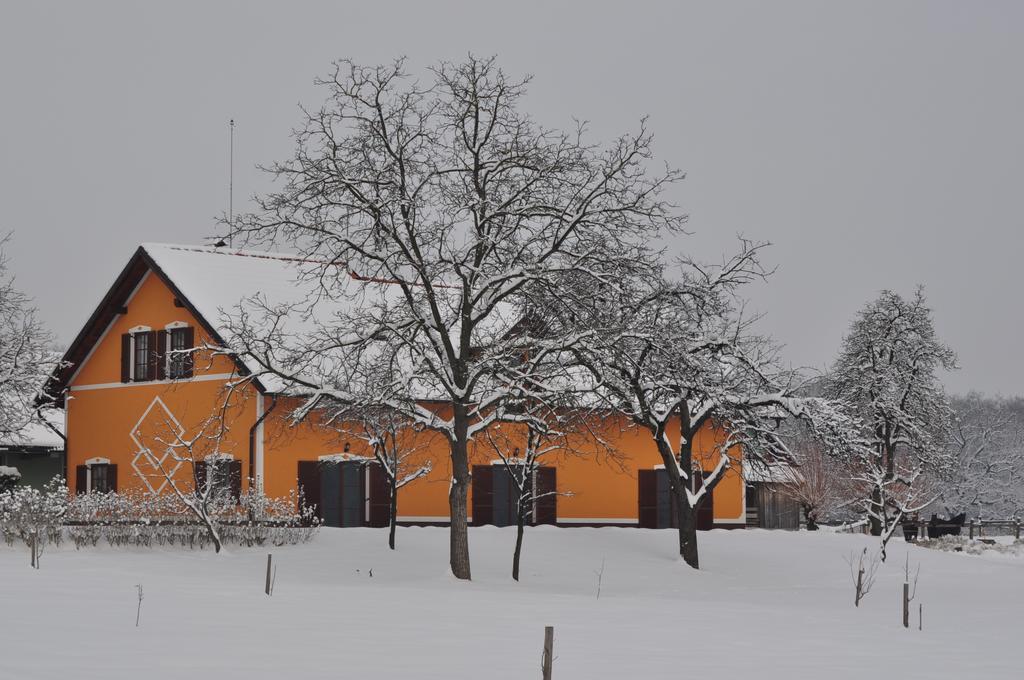 Apartments - Turisticna Kmetija Vrbnjak Ljutomer Bagian luar foto