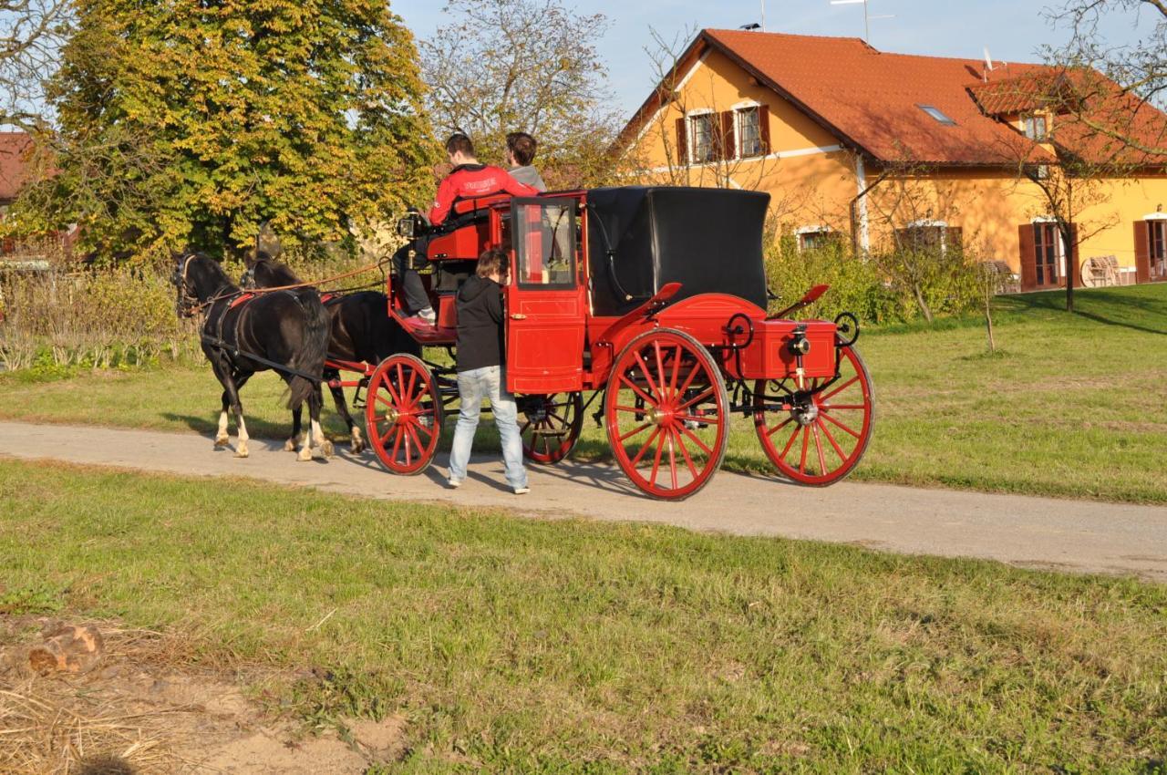 Apartments - Turisticna Kmetija Vrbnjak Ljutomer Bagian luar foto